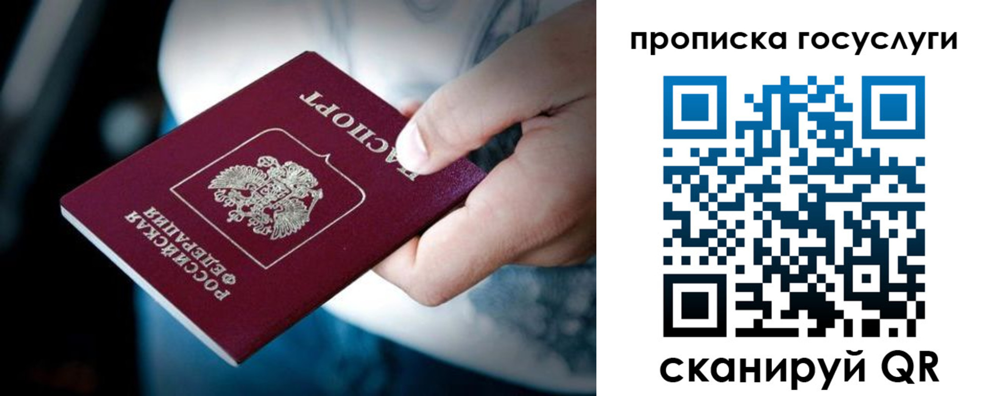 прописка штамп в Фрязино
