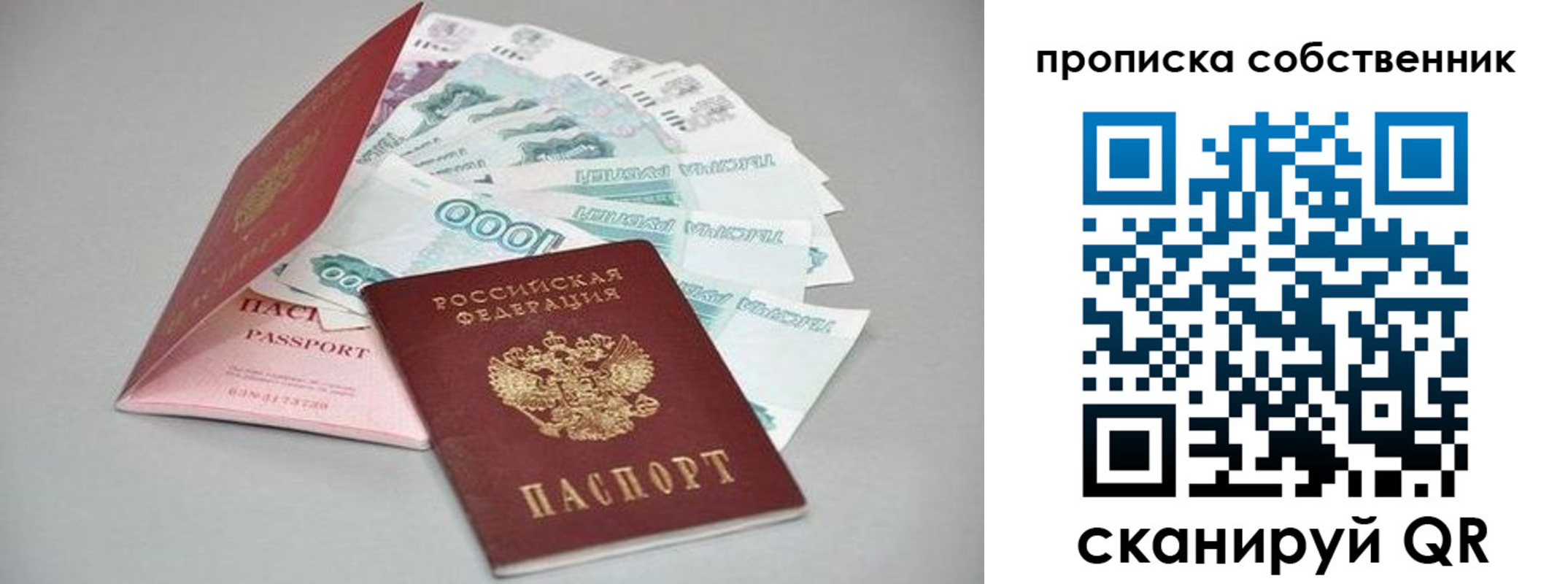 прописка в Фрязино
